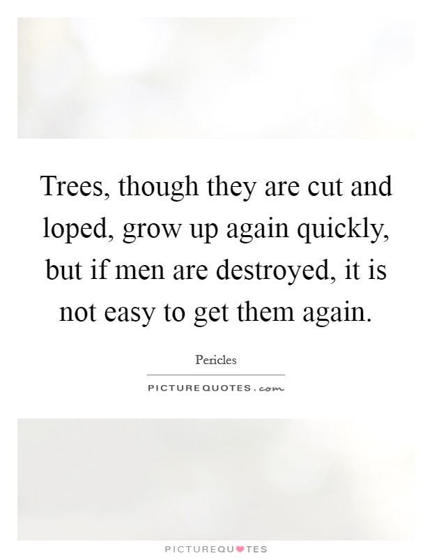 Trees, though they are cut and loped, grow up again quickly, but if men are destroyed, it is not easy to get them again. Picture Quote #1