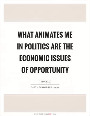 What animates me in politics are the economic issues of opportunity Picture Quote #1