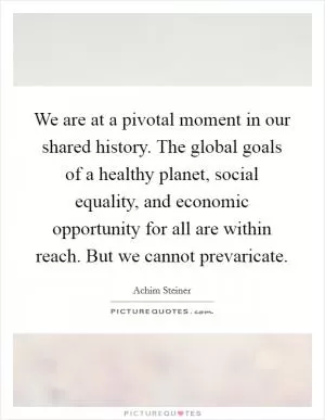 We are at a pivotal moment in our shared history. The global goals of a healthy planet, social equality, and economic opportunity for all are within reach. But we cannot prevaricate Picture Quote #1