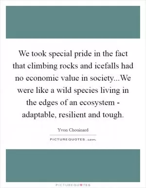 We took special pride in the fact that climbing rocks and icefalls had no economic value in society...We were like a wild species living in the edges of an ecosystem - adaptable, resilient and tough Picture Quote #1