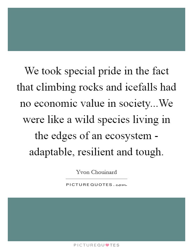 We took special pride in the fact that climbing rocks and icefalls had no economic value in society...We were like a wild species living in the edges of an ecosystem - adaptable, resilient and tough. Picture Quote #1