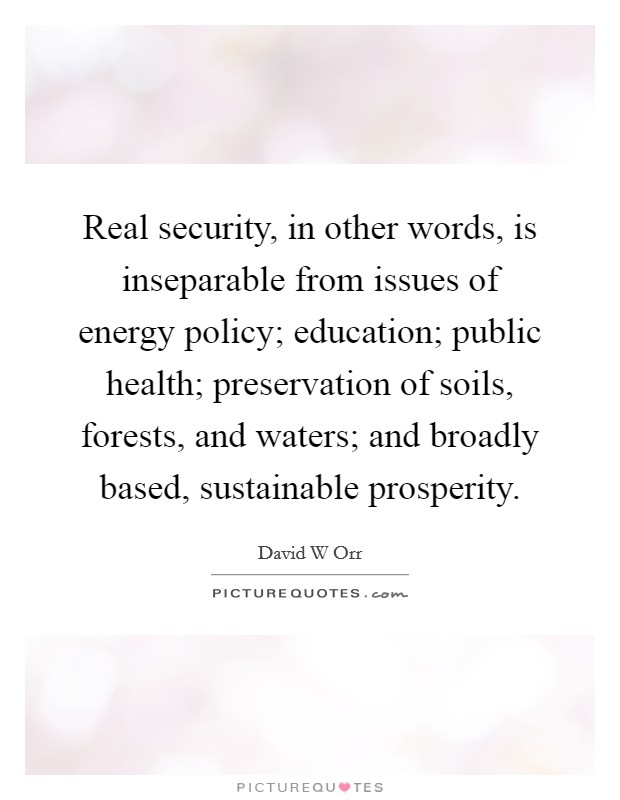 Real security, in other words, is inseparable from issues of energy policy; education; public health; preservation of soils, forests, and waters; and broadly based, sustainable prosperity. Picture Quote #1