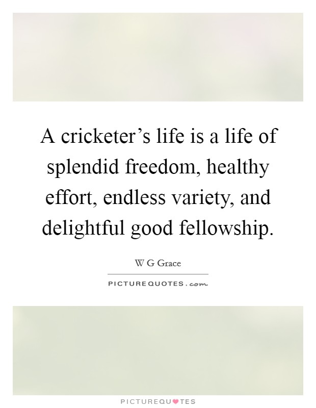 A cricketer's life is a life of splendid freedom, healthy effort, endless variety, and delightful good fellowship. Picture Quote #1