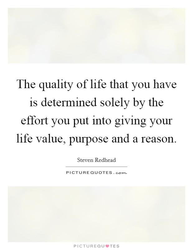 The quality of life that you have is determined solely by the effort you put into giving your life value, purpose and a reason. Picture Quote #1