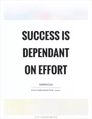 Success is dependant on effort Picture Quote #1