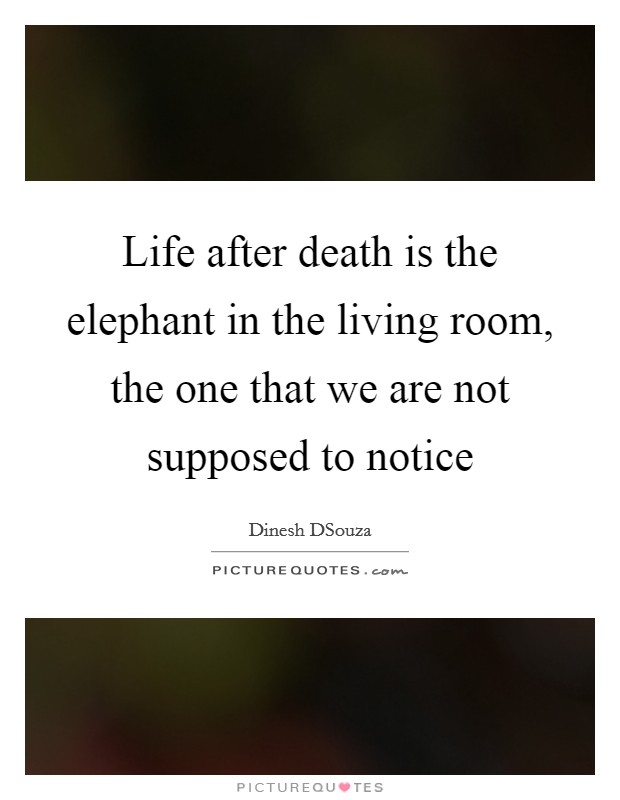 Life after death is the elephant in the living room, the one that we are not supposed to notice Picture Quote #1