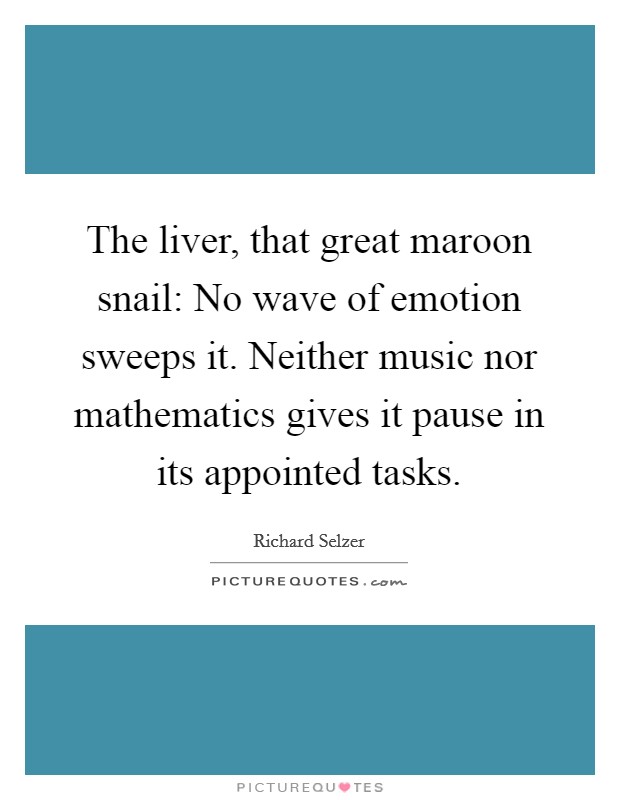 The liver, that great maroon snail: No wave of emotion sweeps it. Neither music nor mathematics gives it pause in its appointed tasks. Picture Quote #1
