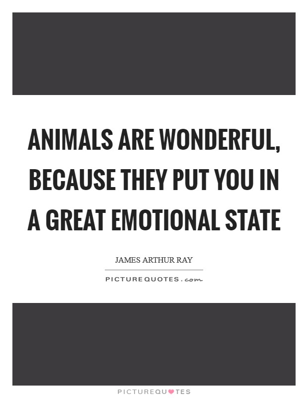 Animals are wonderful, because they put you in a great emotional state Picture Quote #1