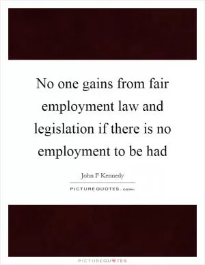 No one gains from fair employment law and legislation if there is no employment to be had Picture Quote #1