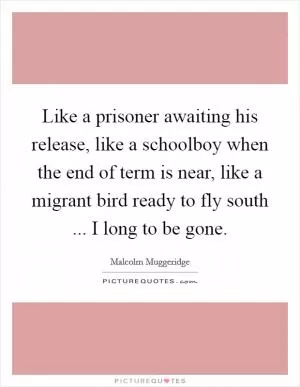 Like a prisoner awaiting his release, like a schoolboy when the end of term is near, like a migrant bird ready to fly south ... I long to be gone Picture Quote #1