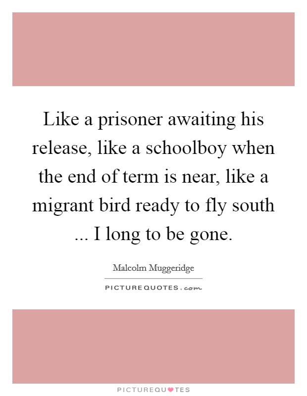 Like a prisoner awaiting his release, like a schoolboy when the end of term is near, like a migrant bird ready to fly south ... I long to be gone. Picture Quote #1