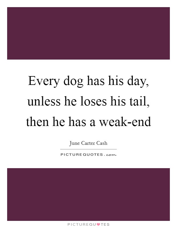 Every dog has his day, unless he loses his tail, then he has a weak-end Picture Quote #1