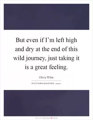 But even if I’m left high and dry at the end of this wild journey, just taking it is a great feeling Picture Quote #1