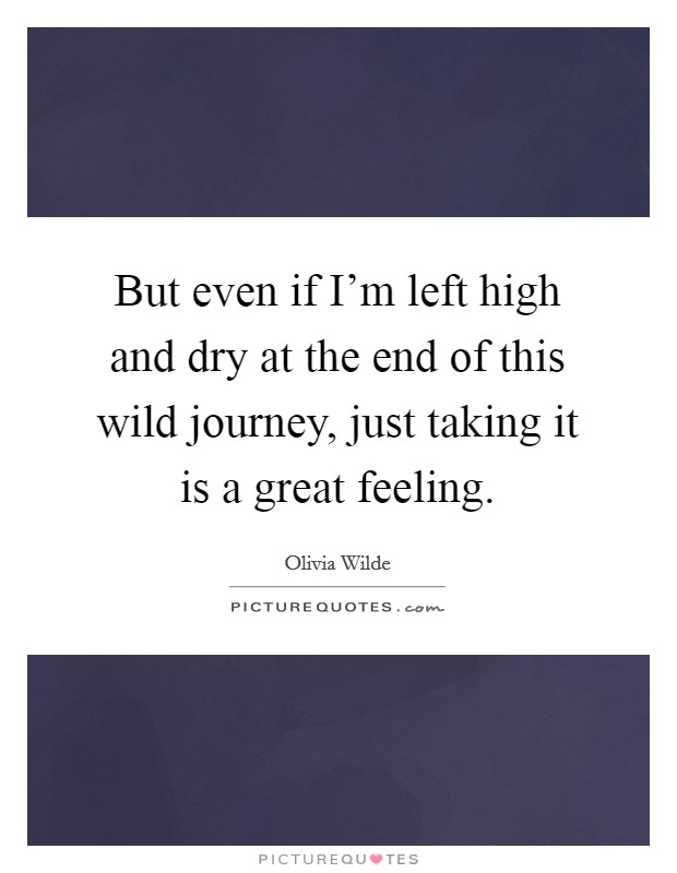 But even if I'm left high and dry at the end of this wild journey, just taking it is a great feeling. Picture Quote #1