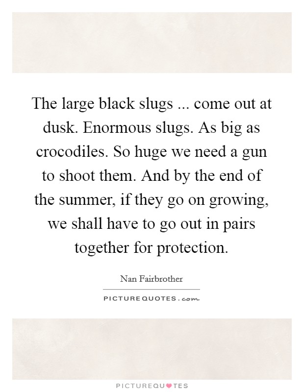 The large black slugs ... come out at dusk. Enormous slugs. As big as crocodiles. So huge we need a gun to shoot them. And by the end of the summer, if they go on growing, we shall have to go out in pairs together for protection. Picture Quote #1