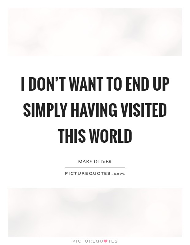 I don't want to end up simply having visited this world Picture Quote #1