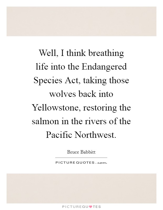 Well, I think breathing life into the Endangered Species Act, taking those wolves back into Yellowstone, restoring the salmon in the rivers of the Pacific Northwest. Picture Quote #1