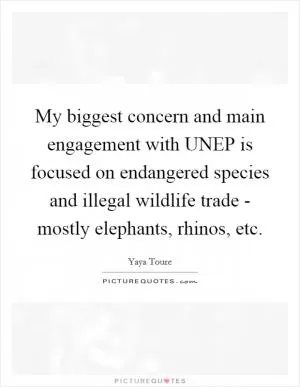 My biggest concern and main engagement with UNEP is focused on endangered species and illegal wildlife trade - mostly elephants, rhinos, etc Picture Quote #1