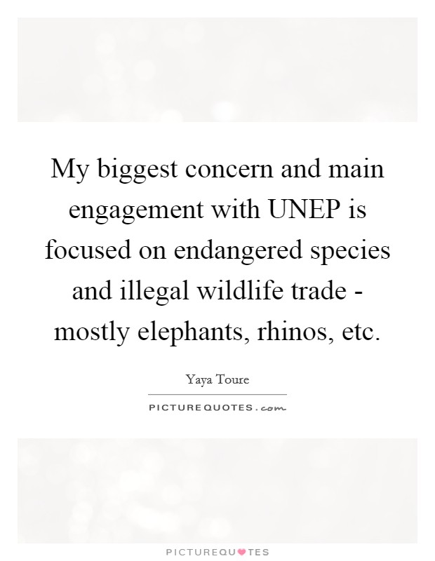 My biggest concern and main engagement with UNEP is focused on endangered species and illegal wildlife trade - mostly elephants, rhinos, etc. Picture Quote #1