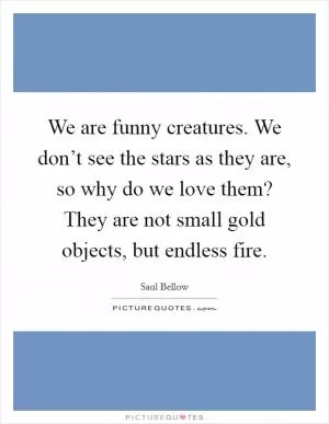 We are funny creatures. We don’t see the stars as they are, so why do we love them? They are not small gold objects, but endless fire Picture Quote #1