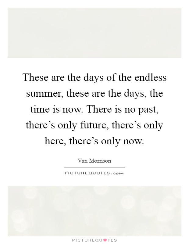 These are the days of the endless summer, these are the days, the time is now. There is no past, there's only future, there's only here, there's only now. Picture Quote #1