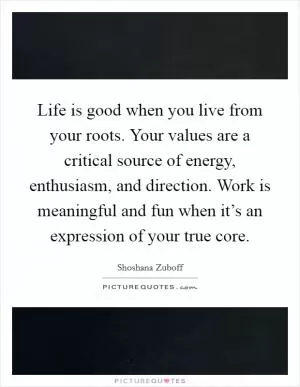 Life is good when you live from your roots. Your values are a critical source of energy, enthusiasm, and direction. Work is meaningful and fun when it’s an expression of your true core Picture Quote #1