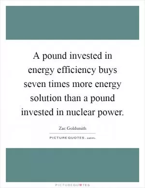 A pound invested in energy efficiency buys seven times more energy solution than a pound invested in nuclear power Picture Quote #1