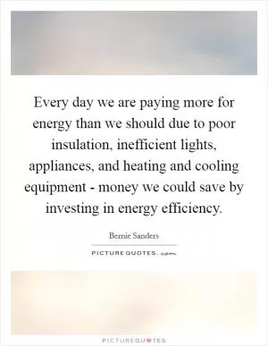 Every day we are paying more for energy than we should due to poor insulation, inefficient lights, appliances, and heating and cooling equipment - money we could save by investing in energy efficiency Picture Quote #1