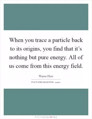 When you trace a particle back to its origins, you find that it’s nothing but pure energy. All of us come from this energy field Picture Quote #1