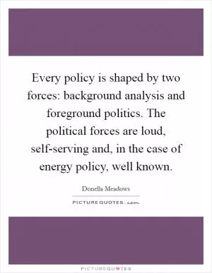 Every policy is shaped by two forces: background analysis and foreground politics. The political forces are loud, self-serving and, in the case of energy policy, well known Picture Quote #1