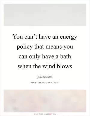 You can’t have an energy policy that means you can only have a bath when the wind blows Picture Quote #1