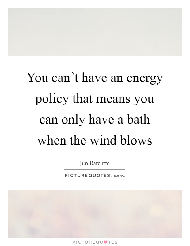 You can't have an energy policy that means you can only have a bath when the wind blows Picture Quote #1