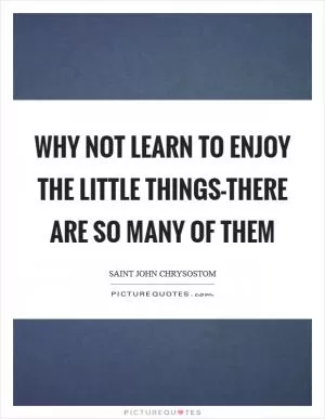 Why not learn to enjoy the little things-there are so many of them Picture Quote #1