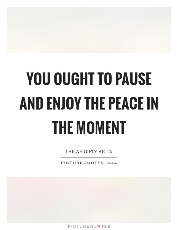 You ought to pause and enjoy the peace in the moment Picture Quote #1