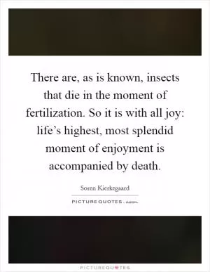 There are, as is known, insects that die in the moment of fertilization. So it is with all joy: life’s highest, most splendid moment of enjoyment is accompanied by death Picture Quote #1