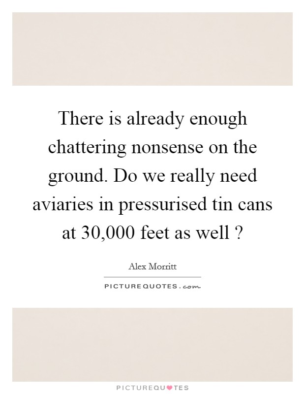There is already enough chattering nonsense on the ground. Do we really need aviaries in pressurised tin cans at 30,000 feet as well ? Picture Quote #1