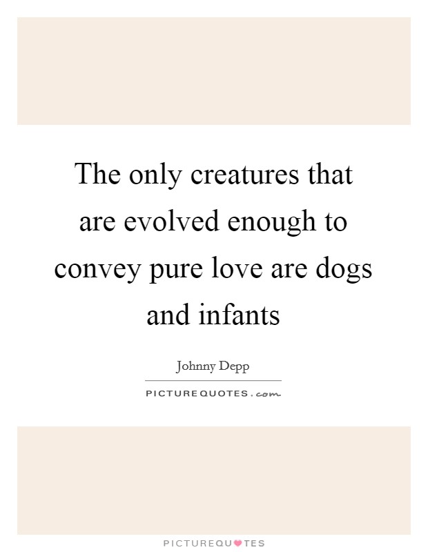 The only creatures that are evolved enough to convey pure love are dogs and infants Picture Quote #1