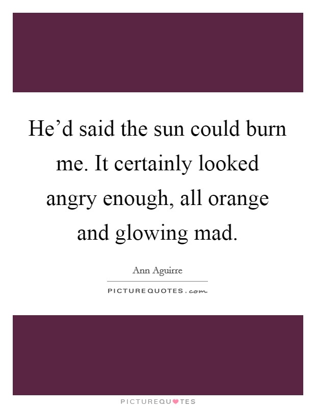 He'd said the sun could burn me. It certainly looked angry enough, all orange and glowing mad. Picture Quote #1