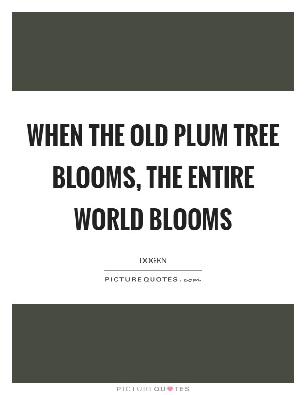 When the old plum tree blooms, the entire world blooms Picture Quote #1