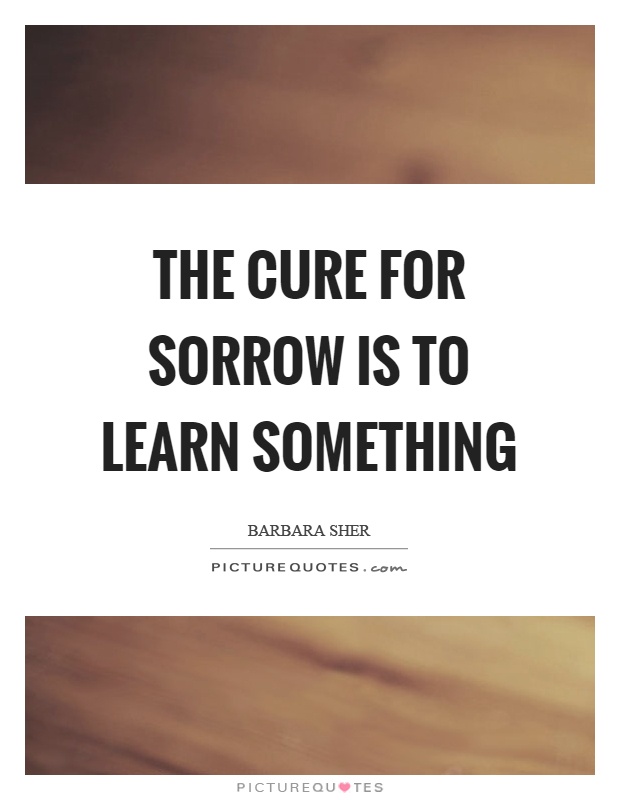 The cure for sorrow is to learn something Picture Quote #1