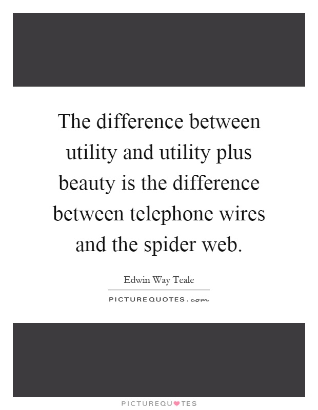 The difference between utility and utility plus beauty is the difference between telephone wires and the spider web Picture Quote #1