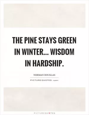 The pine stays green in winter... wisdom in hardship Picture Quote #1