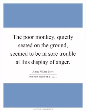 The poor monkey, quietly seated on the ground, seemed to be in sore trouble at this display of anger Picture Quote #1
