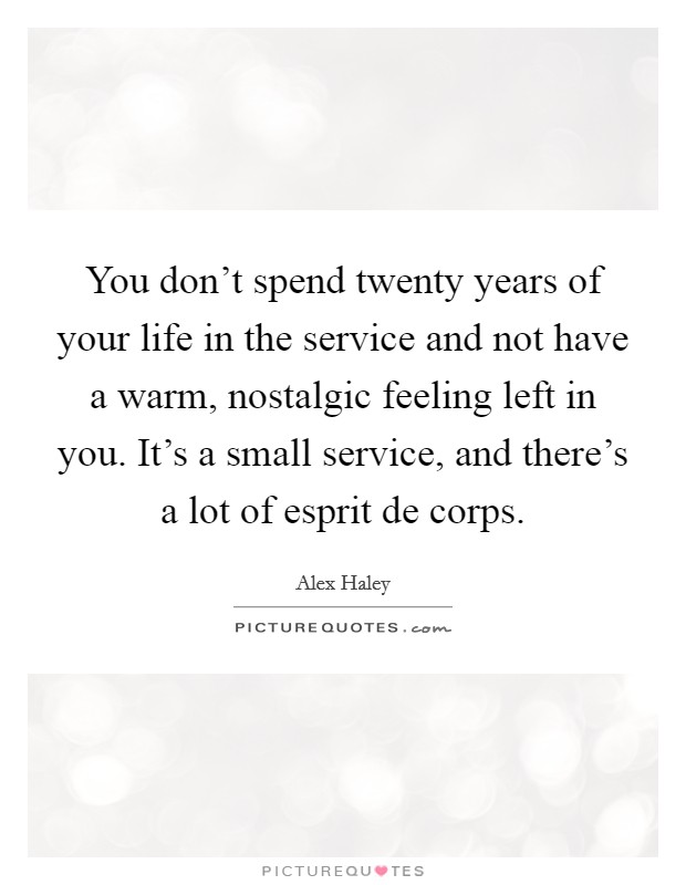 You don't spend twenty years of your life in the service and not have a warm, nostalgic feeling left in you. It's a small service, and there's a lot of esprit de corps. Picture Quote #1