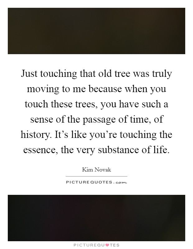 Just touching that old tree was truly moving to me because when you touch these trees, you have such a sense of the passage of time, of history. It's like you're touching the essence, the very substance of life. Picture Quote #1