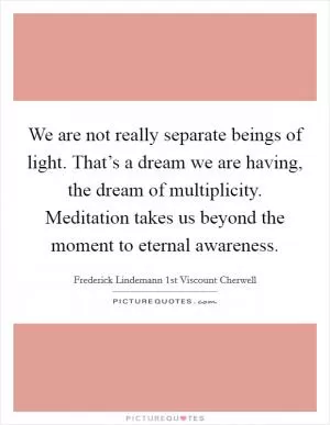 We are not really separate beings of light. That’s a dream we are having, the dream of multiplicity. Meditation takes us beyond the moment to eternal awareness Picture Quote #1