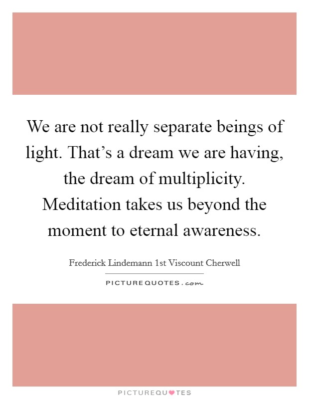We are not really separate beings of light. That's a dream we are having, the dream of multiplicity. Meditation takes us beyond the moment to eternal awareness. Picture Quote #1