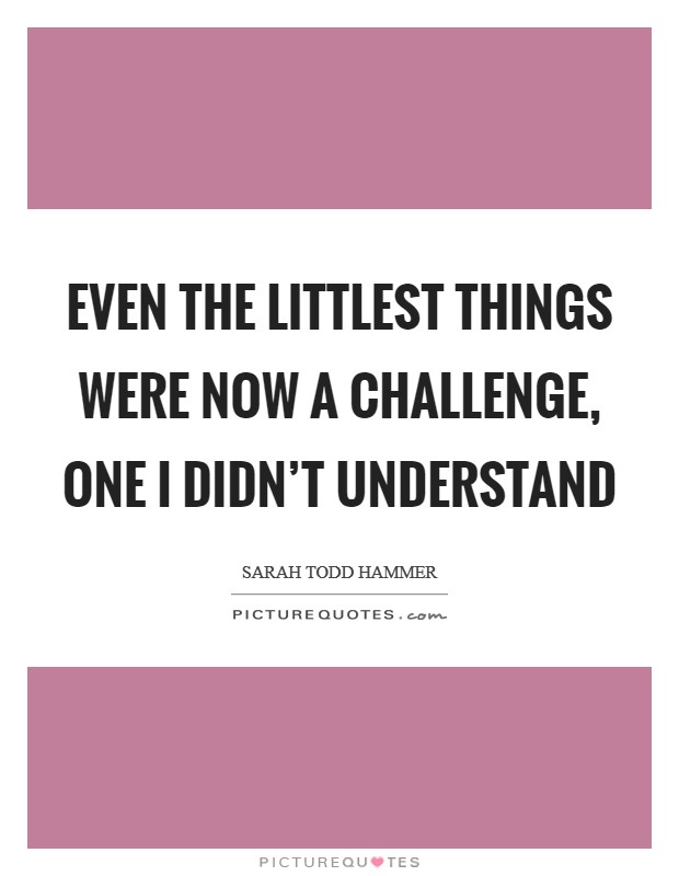 Even the littlest things were now a challenge, one I didn't understand Picture Quote #1