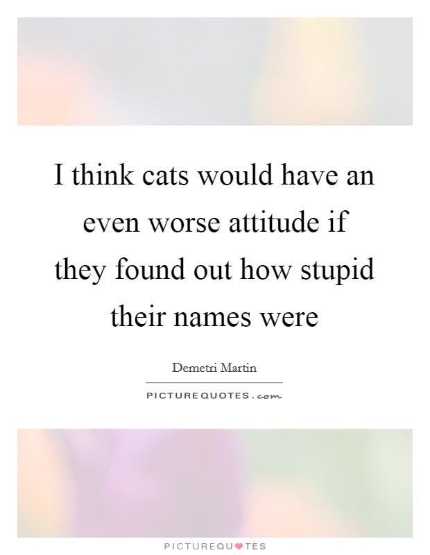 I think cats would have an even worse attitude if they found out how stupid their names were Picture Quote #1
