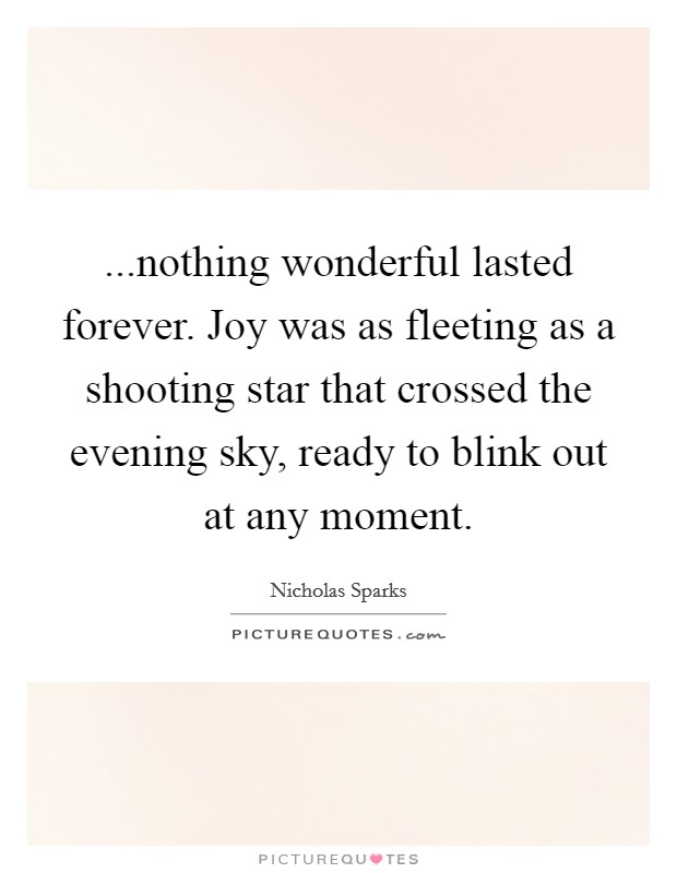 ...nothing wonderful lasted forever. Joy was as fleeting as a shooting star that crossed the evening sky, ready to blink out at any moment. Picture Quote #1